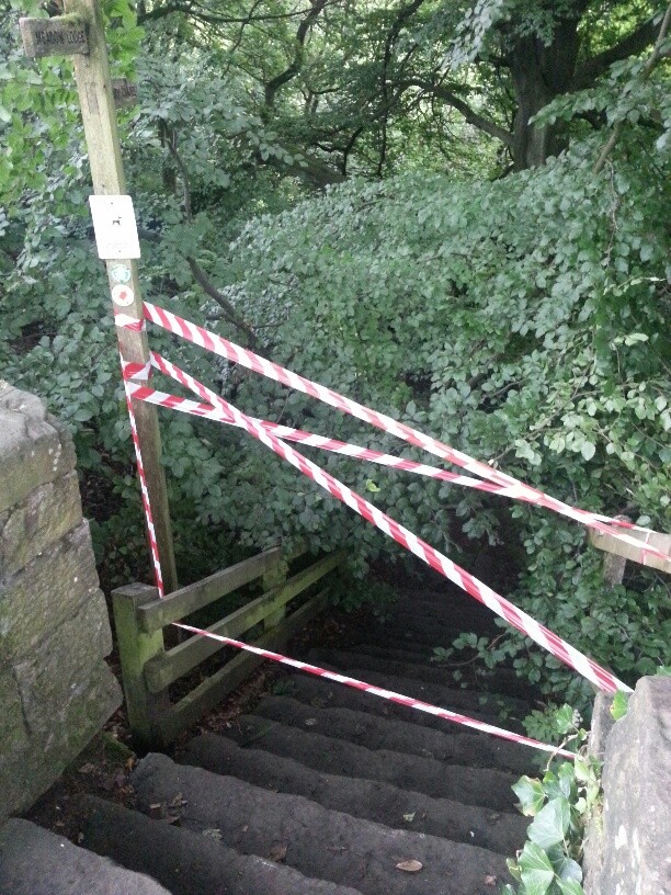 Healey Dell Tree 4